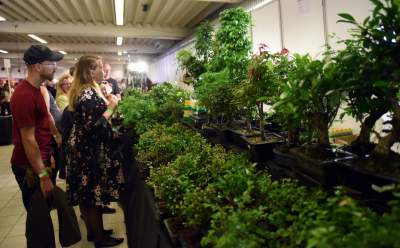 Kapitalna wystawa niezwykłych roślin - zdjęcie 26
