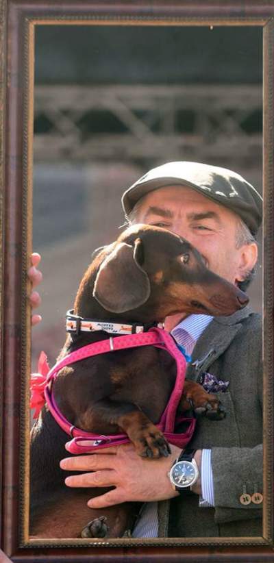 Dlaczego ludzie tak bardzo lubią ubierać jamniki? - zdjęcie 41