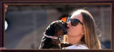 Dlaczego ludzie tak bardzo lubią ubierać jamniki? - zdjęcie 40