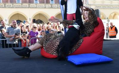 Dlaczego ludzie tak bardzo lubią ubierać jamniki? - zdjęcie 35