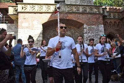 Dlaczego ludzie tak bardzo lubią ubierać jamniki? - zdjęcie 15