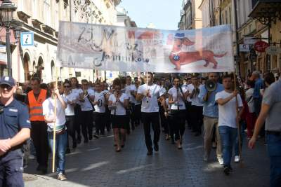 Dlaczego ludzie tak bardzo lubią ubierać jamniki? - zdjęcie 17