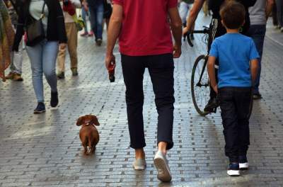 Dlaczego ludzie tak bardzo lubią ubierać jamniki? - zdjęcie 2