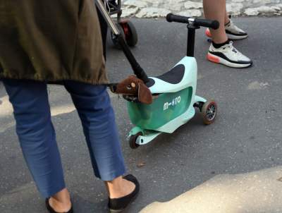 Dlaczego ludzie tak bardzo lubią ubierać jamniki? - zdjęcie 5