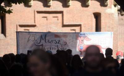 Dlaczego ludzie tak bardzo lubią ubierać jamniki? - zdjęcie 11