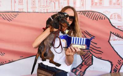 Dlaczego ludzie tak bardzo lubią ubierać jamniki? - zdjęcie 44