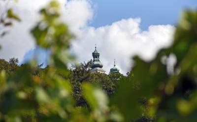 Jesień w najpiękniejszej polskiej winnicy... - zdjęcie 18