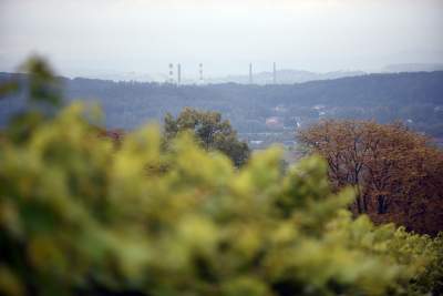 Jesień w najpiękniejszej polskiej winnicy... - zdjęcie 8