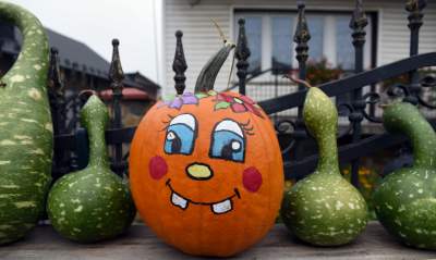 Królestwo dyni pod Krakowem: tylko jesienią takie widoki - zdjęcie 1