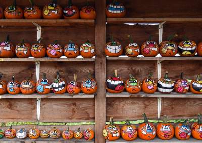 Królestwo dyni pod Krakowem: tylko jesienią takie widoki - zdjęcie 4