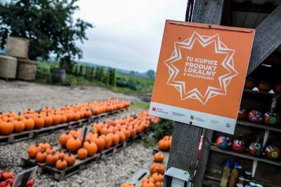 Królestwo dyni pod Krakowem: tylko jesienią takie widoki - zdjęcie 9