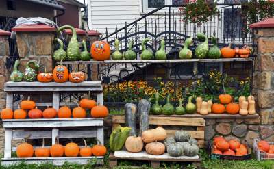 Królestwo dyni pod Krakowem: tylko jesienią takie widoki - zdjęcie 6
