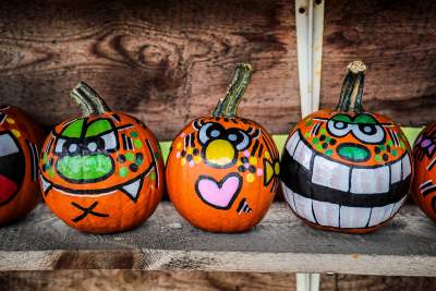 Królestwo dyni pod Krakowem: tylko jesienią takie widoki - zdjęcie 16