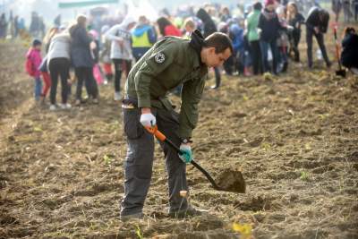 Tu wyrośnie Las Prawiek, w hołdzie noblistce - zdjęcie 15