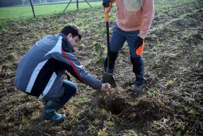 Tu wyrośnie Las Prawiek, w hołdzie noblistce - zdjęcie 2