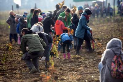 Tu wyrośnie Las Prawiek, w hołdzie noblistce - zdjęcie 14