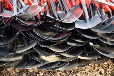 Tu wyrośnie Las Prawiek, w hołdzie noblistce - zdjęcie 5