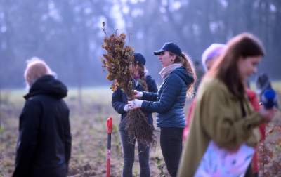 Tu wyrośnie Las Prawiek, w hołdzie noblistce - zdjęcie 10