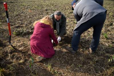 Tu wyrośnie Las Prawiek, w hołdzie noblistce - zdjęcie 3