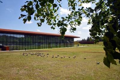 Krakowska hala wśród pięciu najlepszych tego typu obiektów świata - zdjęcie 3