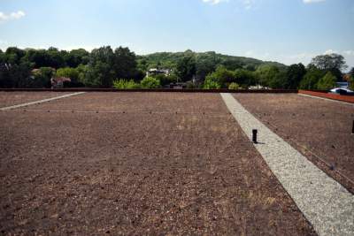 Krakowska hala wśród pięciu najlepszych tego typu obiektów świata - zdjęcie 12