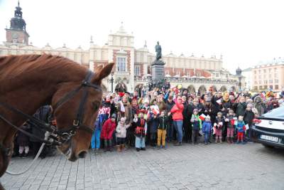 Ułani wędrują, strzelcy maszerują, a KOD przypomina o Konstytucji - zdjęcie 11
