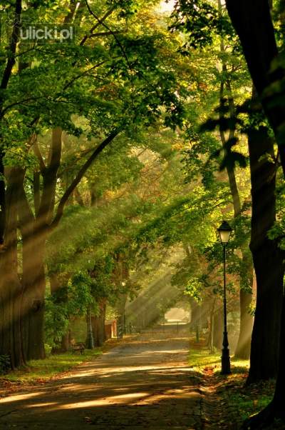 Kraków wygląda kosmicznie, poznajecie który to kopiec? - zdjęcie 8