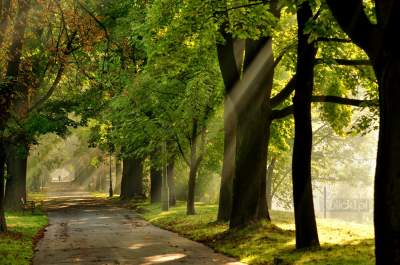 Kraków wygląda kosmicznie, poznajecie który to kopiec? - zdjęcie 7