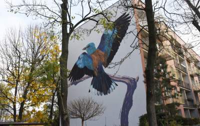 Dosłownie odlotowe murale, mieszkańcy zachwyceni - zdjęcie 21