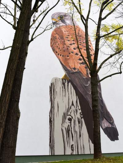 Dosłownie odlotowe murale, mieszkańcy zachwyceni - zdjęcie 10