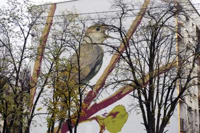 Dosłownie odlotowe murale, mieszkańcy zachwyceni - zdjęcie 16