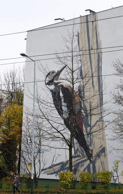 Dosłownie odlotowe murale, mieszkańcy zachwyceni - zdjęcie 14