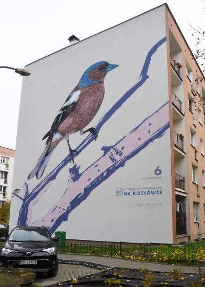 Dosłownie odlotowe murale, mieszkańcy zachwyceni - zdjęcie 2