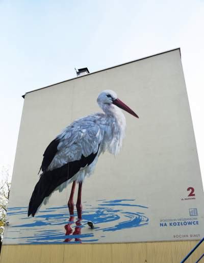 Dosłownie odlotowe murale, mieszkańcy zachwyceni - zdjęcie 17