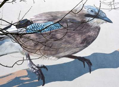 Dosłownie odlotowe murale, mieszkańcy zachwyceni - zdjęcie 4