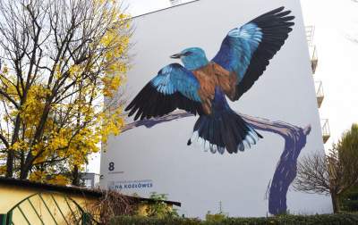 Dosłownie odlotowe murale, mieszkańcy zachwyceni - zdjęcie 22