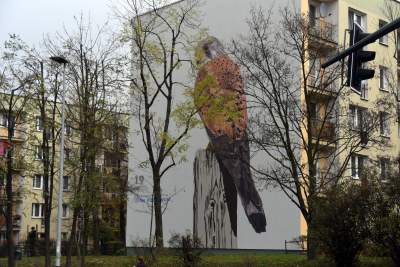 Dosłownie odlotowe murale, mieszkańcy zachwyceni - zdjęcie 12