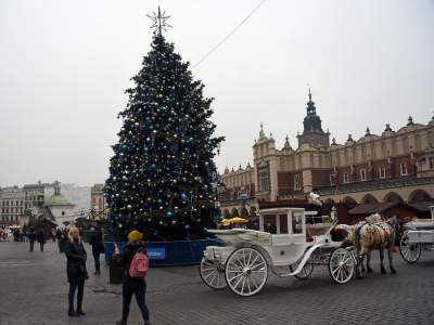 Jak by się ktoś pytał, to jesteśmy w Krakowie! - zdjęcie 13