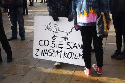 Protest w Krakowie: hasła jak zwykle były bardzo kreatywne - zdjęcie 9