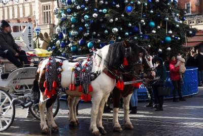 No to się zaczęło na Rynku Głównym... - zdjęcie 9