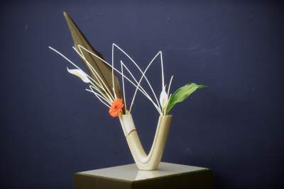 Cała puszcza parkiem narodowym, Wajrak doceniony w Krakowie - zdjęcie 6