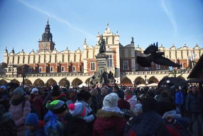 Dlaczego zrobił szopkę w kieliszku? Oryginalne pomysły - zdjęcie 26