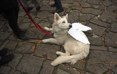 Miejsce niedaleko Krakowa, które przyciąga anioły - zdjęcie 10