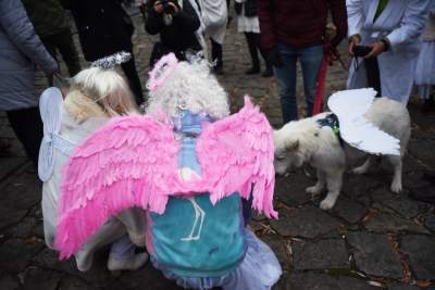 Miejsce niedaleko Krakowa, które przyciąga anioły - zdjęcie 27