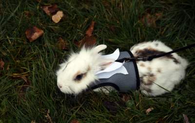 Miejsce niedaleko Krakowa, które przyciąga anioły - zdjęcie 28