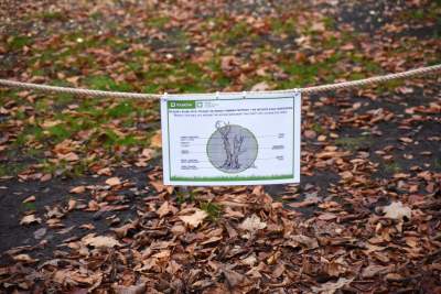 Planty: pierwsza w Krakowie galeria z pomnikami - zdjęcie 20