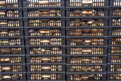 Rok 2019: Największa wigilia dla potrzebujących, z kurii nie było nikogo - zdjęcie 7