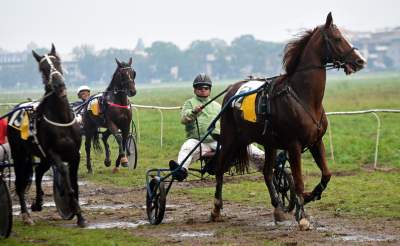 Chcecie oglądać takie imprezy na Błoniach? Kolejna petycja - zdjęcie 5