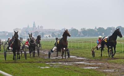 Chcecie oglądać takie imprezy na Błoniach? Kolejna petycja - zdjęcie 3