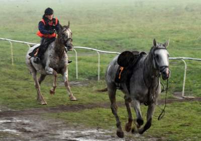 Chcecie oglądać takie imprezy na Błoniach? Kolejna petycja - zdjęcie 14
